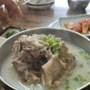 제주 한림 맛집ㅣ일억조 맛집 솔직 후기 🍽️