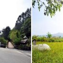 효석문학100리길 제4구간 이미지