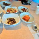 까사델 경주 | 경주 양남 물회 맛집 비교｜진리해변 물회 솔직 후기 (월성횟집 vs 진리횟집)