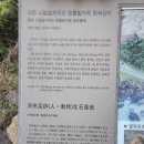 제주 사람발자국과 동물발자국 화석산지 | 제주 서귀포시 사계 해변/사람 발자국과 동물 발자국 화석 산지