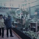 여주시보건소 이미지