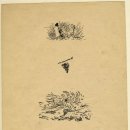 목신의오후 이미지