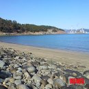 신수도몽돌해수욕장 뉴시스