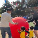 노벨생태어린이집 이미지