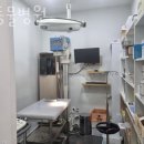 정동물병원 이미지