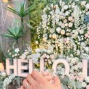 디자인메드 | 홍대 [메드스튜디오] 20대 커플링 웨딩밴드 내돈내산 제작 솔직 후기