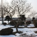 이화초교 이미지