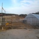 금란한우농장 이미지