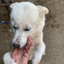 진성목장 이미지