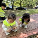 🐞 꽃 속에서 만난 곤충 - by 대전청사아람어린이집 🦋