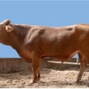 이정표농장 이미지