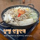 [양평] 실내 애견 동반 가능 식당, 연꽃언덕 | 두물머리 근처 수제두부 전문점 버섯전골 솔직 후기