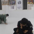모던주짓수
