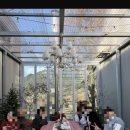 스테이외송 이미지