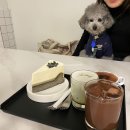 카페상희 이미지