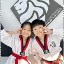 푸른 경희대 태권도장 이미지