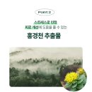 헬스딜리버리 | 직장인 스트레스 영양제 추천 헬스딜리버리 스트레스엑스 테아닌 솔직후기