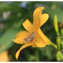 오전오후 이미지