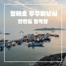 [충남 태안] 안면도 영목항 |청해호| 타고 처음 가 본 쭈꾸미 배낚시(feat.갑오징어)