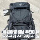 36 | 스트라토스 36 오스프리 내돈내산 배낭 실사용 후기