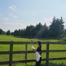 삼두목장 이미지