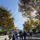 백제태권도체육관 이미지