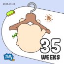 34w 일상모음집 🦢