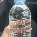 여행 (하만스빅버거, 무진정, 카페식목일, 함안박물관, 쾌치나칭칭, 악양둑방길, 한옥스테이보림, 우포늪)