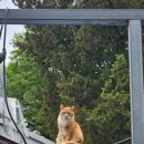 에스피오(주) 네이버블로그