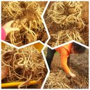 유성농장 이미지