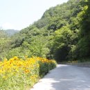 산수벨리펜션 이미지