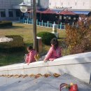 한밭대안경원 이미지