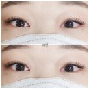 뿜 속눈썹