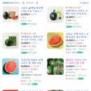 겨울 수박 추천 황금찬 마켓 구매 후기