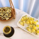 와이제이스포츠 - 구리시 산마루로 18 | 와이제이스포츠