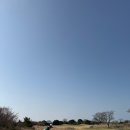 미영(아) | 제주도 엘리시안 cc 후기 + 미영이네 고등어회