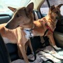 디제이 뭉 이미지