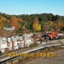 나비채 하우스 이미지