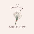 w5. 웨딩홀 투어 준비 및 주의사항 워크인 vs플래너