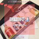 매월 | 월간구독전통주 매월매주 ㅣ 매월한잔 전통주 월간 테이스팅 5종 후기