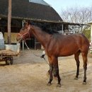 태평목장 이미지