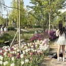 서울 식물원 화단에 등장한 민폐녀들 이미지