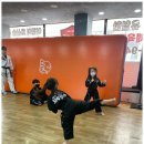 용인대 화랑 합기도 이미지