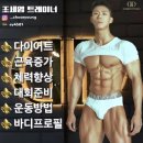 도미디피트니스 이미지
