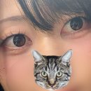 이오티디(EOTD)