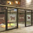 밍키애견 이미지