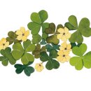 데레사약국 이미지