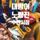 새벽을 여는 사람들 | 노량진수산시장 회 가격 경매가 시세