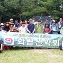축령산 산소길(2구간) Daum카페