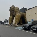 양남독채펜션 | 경주 양남 독채펜션 더킹풀빌라 오션뷰에 인피니티풀까지